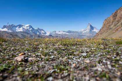 Oberrothorn