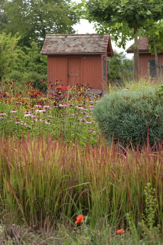 Japanisches Blutgras (Imperata cylindrica), Rote Sonnenhüte (Echinacea purpurea), Taglilien (Hemerocallis) und leere Bienenhäuschen im Kloster Wurmsbach