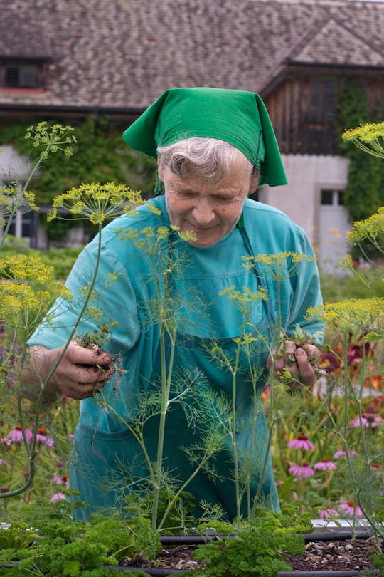 Schwester Ruth aus dem Kloster Wurmsbach in Rapperswil-Jona St. Gallen beim Jäten der Kräuterhochbeete