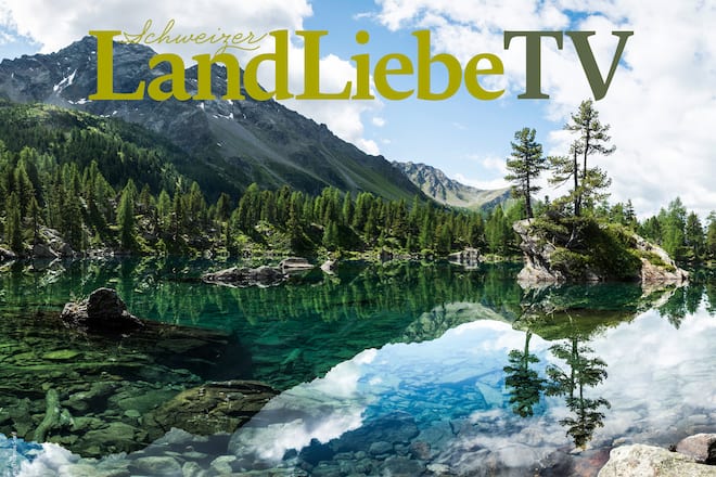 LandLiebe TV Wallpaper