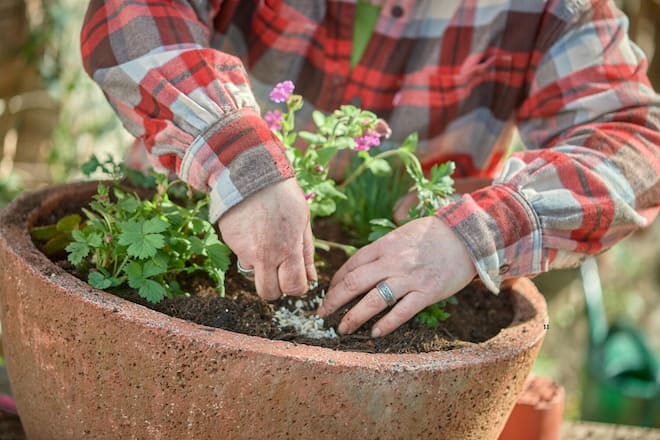 Gartenservice