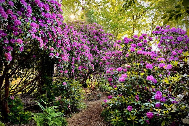 Gratiseintritte Seleger Moor