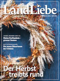 Der Herbst treibts rund