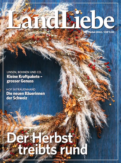 Der Herbst treibts rund