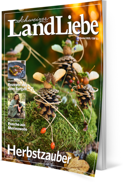 LandLiebe-Magazin Herbstausgabe 2025